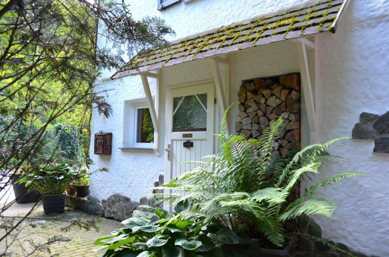Birgits Landhaus Willingen Willingen  Esterno foto
