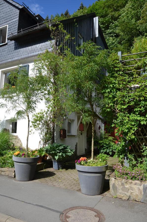 Birgits Landhaus Willingen Willingen  Esterno foto