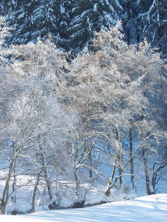 Birgits Landhaus Willingen Willingen  Esterno foto