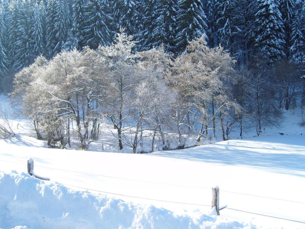 Birgits Landhaus Willingen Willingen  Esterno foto